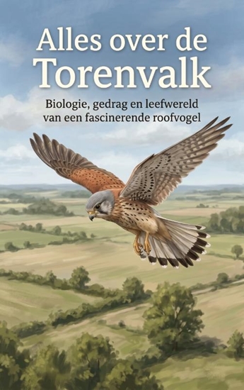 Afbeelding van Alles over de Torenvalk