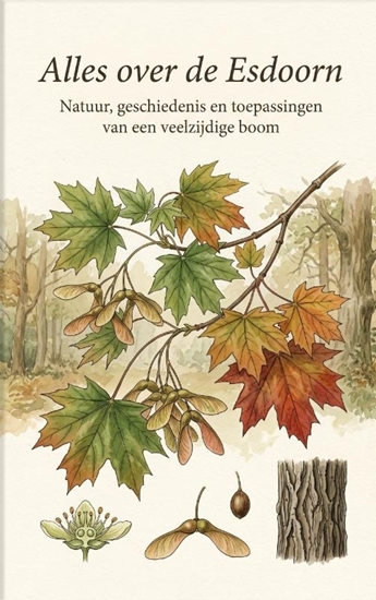 Afbeelding van Alles over de Esdoorn