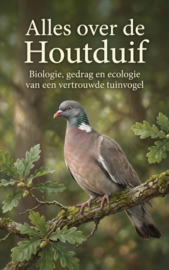 Afbeelding van Alles over de Houtduif