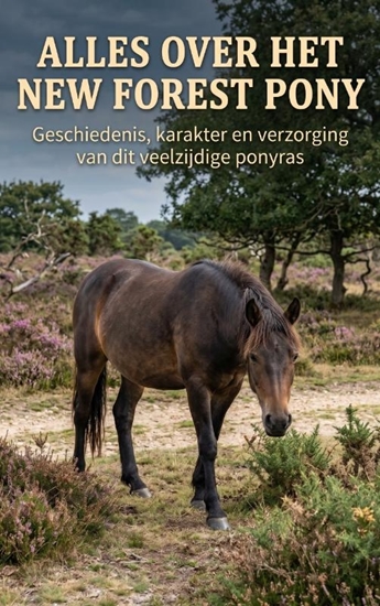 Afbeelding van Alles over het New Forest Pony