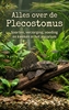 Afbeelding van Alles over de Plecostomus