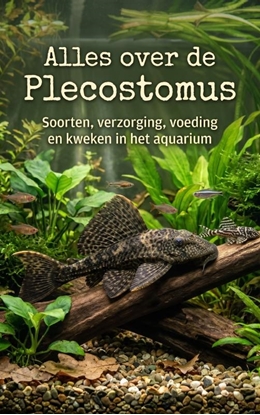 Afbeeldingen van Alles over de Plecostomus