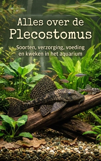 Afbeelding van Alles over de Plecostomus