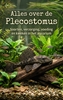 Afbeelding van Alles over de Plecostomus