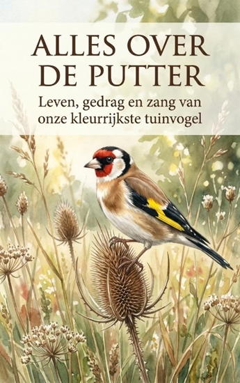 Afbeelding van Alles over de Putter