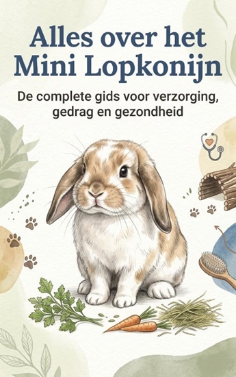 Afbeelding van Alles over het Mini Lopkonijn