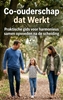 Afbeelding van Co-ouderschap dat Werkt