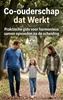 Afbeelding van Co-ouderschap dat Werkt