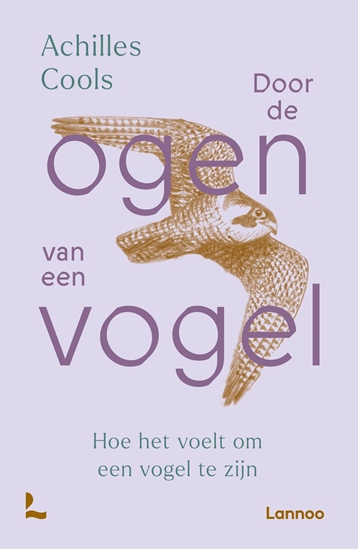 Afbeelding van Door de ogen van een vogel