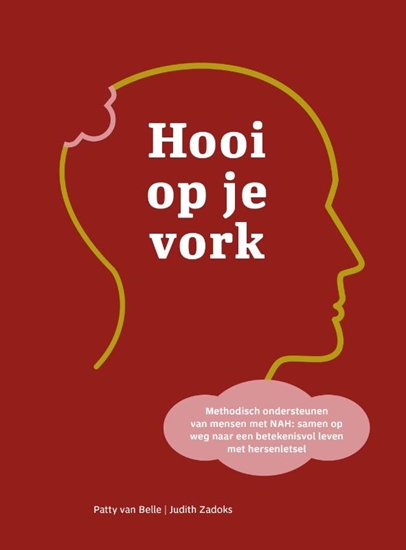 Afbeelding van Hooi op je vork