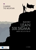 Afbeelding van Climbing the mountain Lean Six Sigma Black Belt