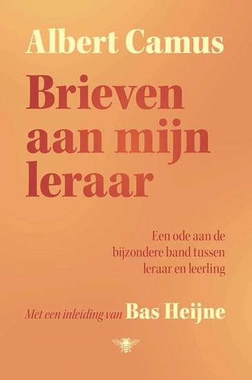 Afbeelding van Brieven aan mijn leraar