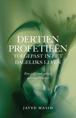 Afbeeldingen van Dertien profetieën toegepast in het dagelijks leven