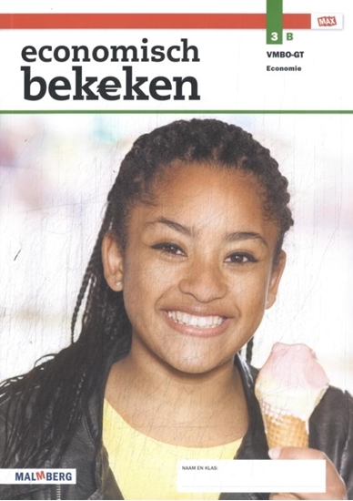 Afbeelding van Economisch bekeken B 3 vmbo-gt leerwerkboek