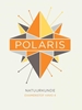 Afbeelding van POLARIS natuurkunde havo 4 examenstof