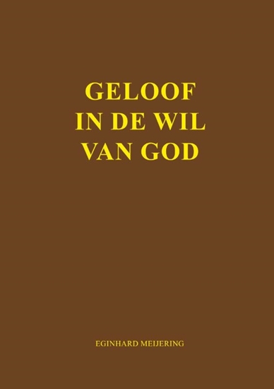 Afbeelding van Geloof in de wil van God