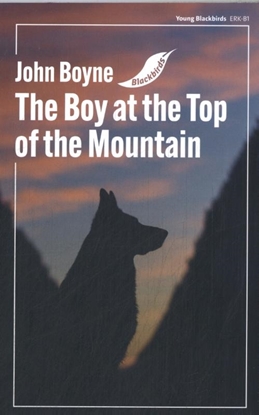 Afbeeldingen van Young Blackbirds The Boy at the Top of the Mountain