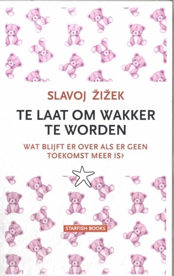 Afbeelding van Te laat om wakker te worden