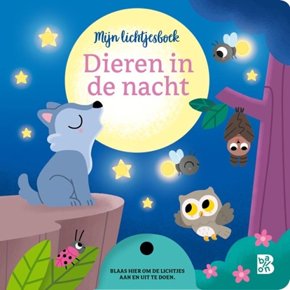 Afbeeldingen van Mijn lichtjesboek Dieren in de nacht