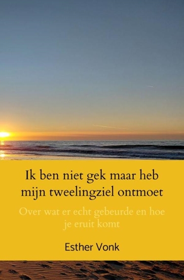 Afbeelding van Ik ben niet gek maar heb mijn tweelingziel ontmoet