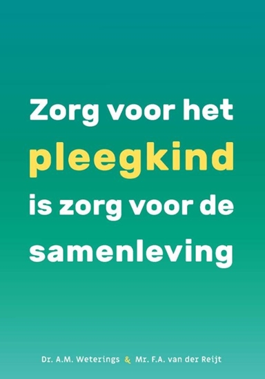 Afbeelding van Rechten voor pleegkinderen