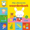 Afbeelding van Mijn allereerste woordenboek - Spelen en leren met Billi