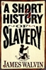 Afbeelding van A Short History of Slavery