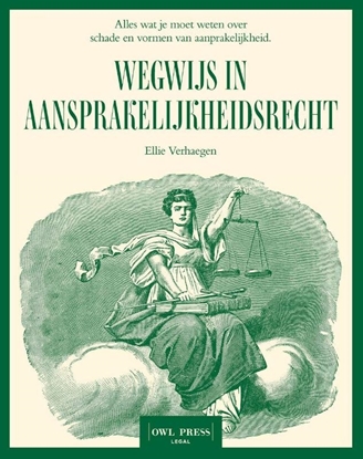 Afbeeldingen van Wegwijs in aansprakelijkheidsrecht