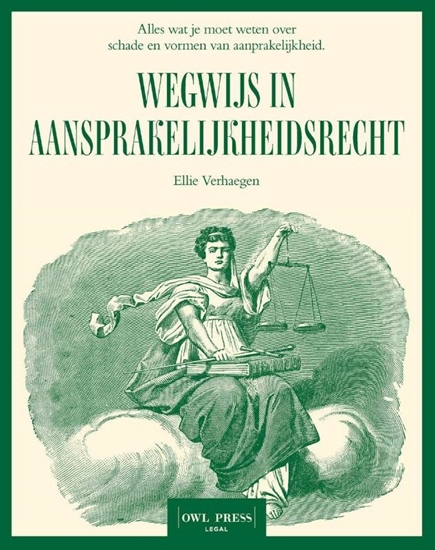 Afbeelding van Wegwijs in aansprakelijkheidsrecht
