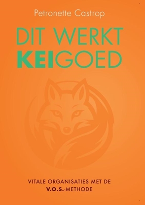Afbeeldingen van Dit werkt keigoed