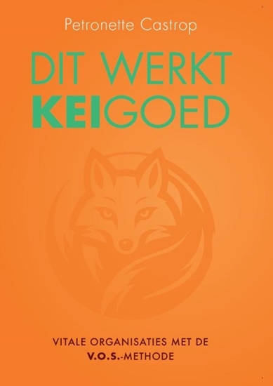 Afbeelding van Dit werkt keigoed
