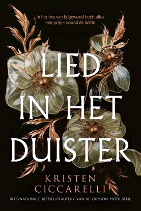 Afbeeldingen van Lied in het duister