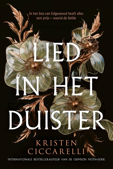 Afbeelding van Lied in het duister
