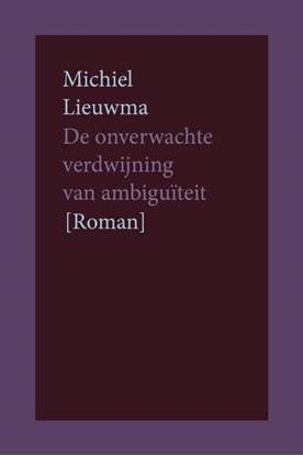 Afbeeldingen van De onverwachte verdwijning van ambiguïteit