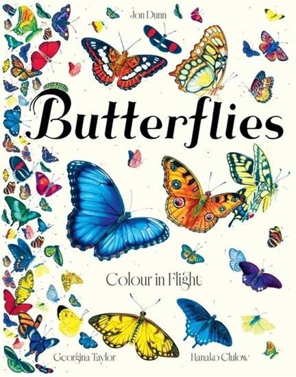 Afbeelding van Butterflies