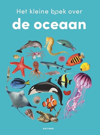 Afbeelding van Kleine boeken Het kleine boek over de oceaan