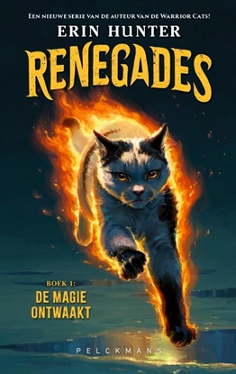 Afbeeldingen van Renegades De magie ontwaakt