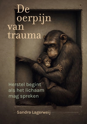 Afbeeldingen van De oerpijn van trauma