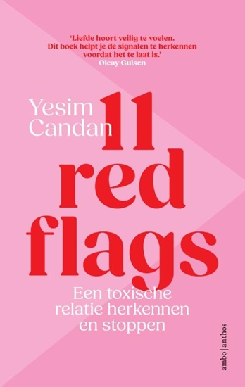 Afbeelding van 11 red flags