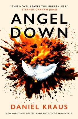 Afbeeldingen van Angel Down