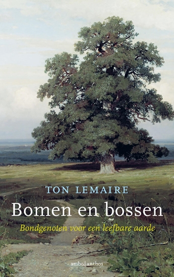Afbeelding van Bomen en bossen
