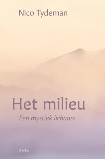 Afbeelding van Het milieu