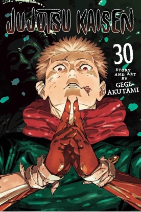 Afbeeldingen van Jujutsu Kaisen Jujutsu Kaisen, Vol. 30