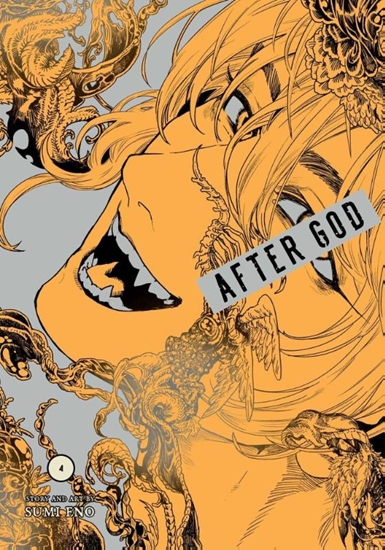 Afbeelding van After God After God, Vol. 4