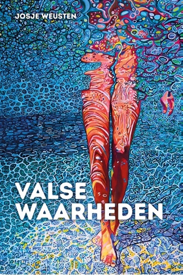 Afbeelding van Valse waarheden