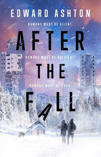 Afbeelding van After the Fall