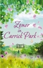 Afbeelding van Zomer in Carrick Park