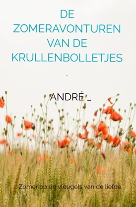 Afbeeldingen van DE ZOMERAVONTUREN VAN DE KRULLENBOLLETJES.