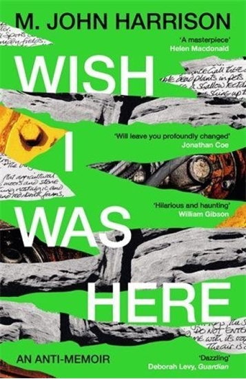 Afbeelding van Wish I Was Here