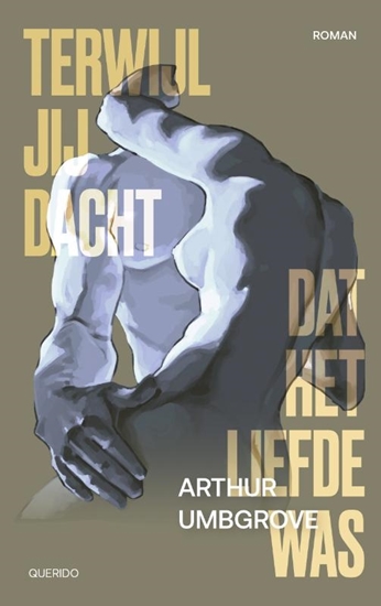Afbeelding van Terwijl jij dacht dat het liefde was